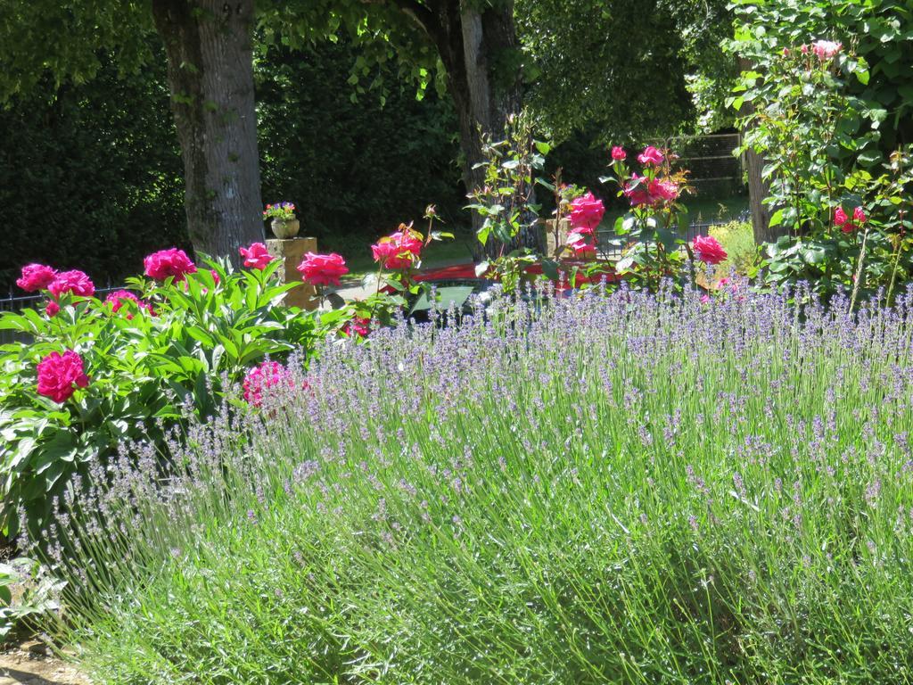 Bed and Breakfast Les Quatre Saisons Moitron-sur-Sarthe Exterior foto